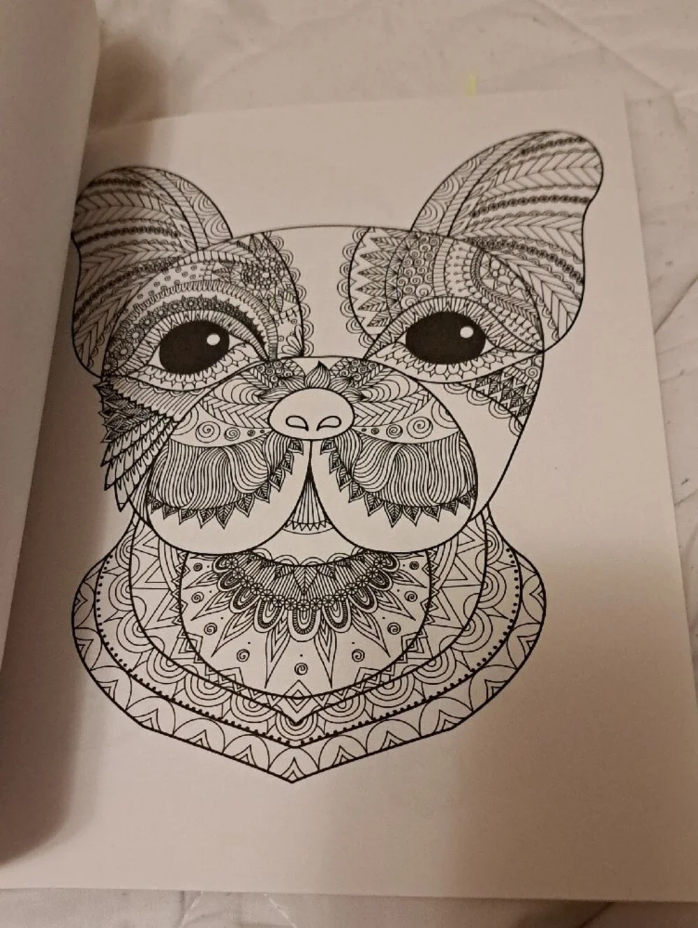 Colorama Delightful Dogs Coloring Book by Bullhead – Multicolor